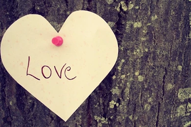 Love Quote With A Heart On A Tree HD Wallpapers