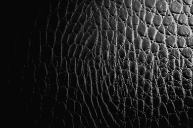 Crocodile Skin Backgrounds   ImgMob