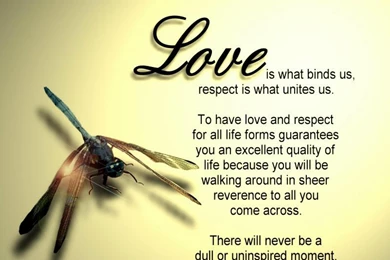 Love quote letter amazing hd wallpaper.jpg