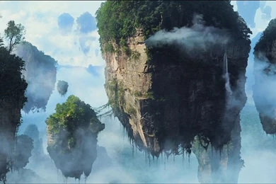 Animal Wallpapers,Funny Animal Wallpaper: Avatar HD Wallpapers