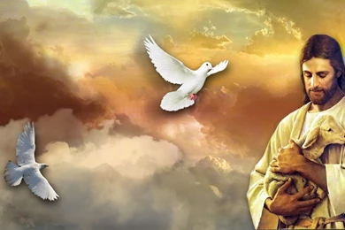 Jesus With Lamb, Christ, 1920x1080 HD Wallpapers And FREE Stock Photo