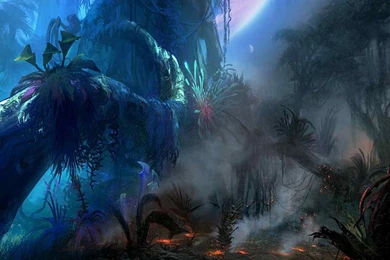 Avatar Wallpapers 13 Hd Anime   (