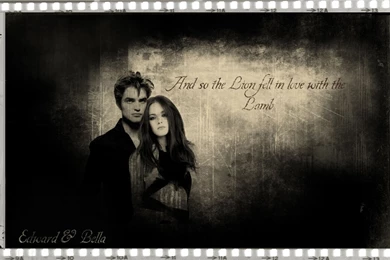 Lion And Lamb Wallpapers   Twilight Series Photo (1502622)   Fanpop