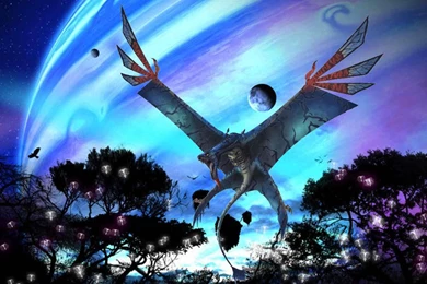 All New Wallpapers : Avatar Movies HD Wallpapers