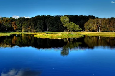 Nature Hd Images For PC   HD Wallpapers Lovely