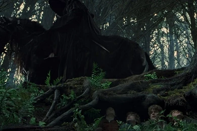 LORD OF THE RINGS Lotr Fantasy Fellowship Adventure Dark Reaper Fe ...