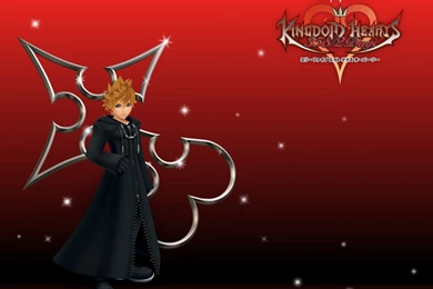 Kingdom Hearts 358/2 Days/