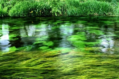 Hi Resolution Desktop Wallpapers Nature