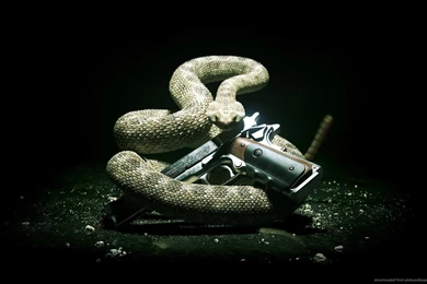 Wallpapers For Cool Gun Wallpapers