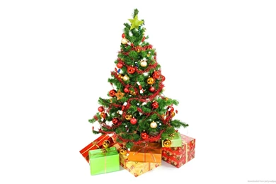 Download 1920x1200 Christmas Tree With Presents Underneath On A ...