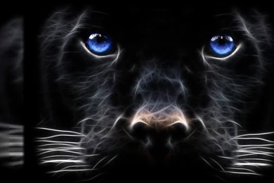 3D Wallpapers 163823