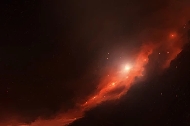 Desktop image of orange fruit download.jpg