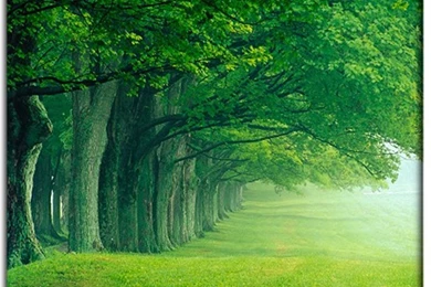 Interesting Backgrounds 8.jpg