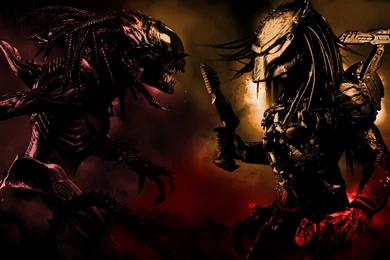 AVP Wallpapers