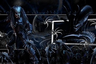 33520d1300966638 Windows 8 Hd Wallpapers Avp Windows 8 Hd   1529482