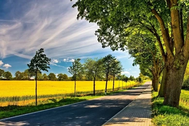 Beautiful Pictures Of Nature   Black And White Wallpapers Desktop ...