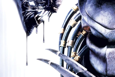 Wallpapers Alien HD Gratuit à Télécharger Sur NGN Mag