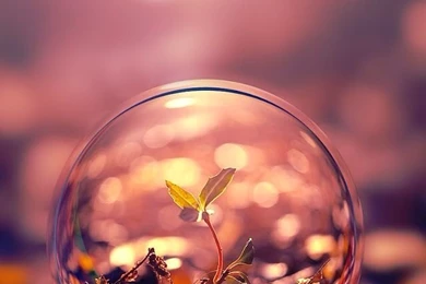 26 Amazing iPhone 5 Wallpapers Updated On August JailbreakiOSX ...