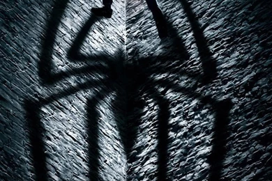 Cute And Amazing iPhone Wallpapers Free Download