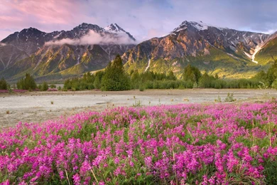 Beautiful Spring Wallpapers 1397 1920 X 1200   WallpaperLayer.com