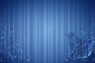 Wallpapers Hd Fedora