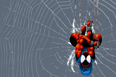 Scarlet Spider Man Wallpapers By AdamMcKraken On DeviantArt