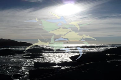 Sepultura Ocean Wallpapers By Sheshdd On DeviantArt