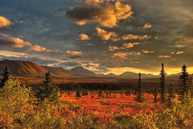 Nature Part 2   Natural World Wallpapers