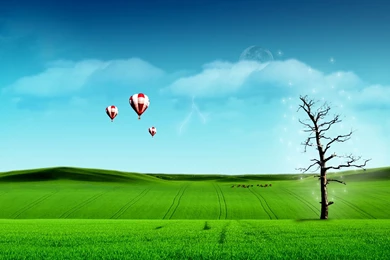 Nature World, Strange, 1920x1200 Wallpapers And Free Stock Photo