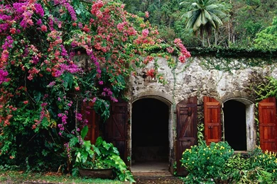 Pristine Nature   World Landscape Wallpapers(Vol.7) 1280x1024 NO ...