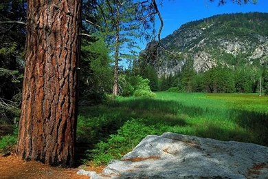 Pristine Beauty Of The Nature   Nature Landscape Wallpapers 18 ...