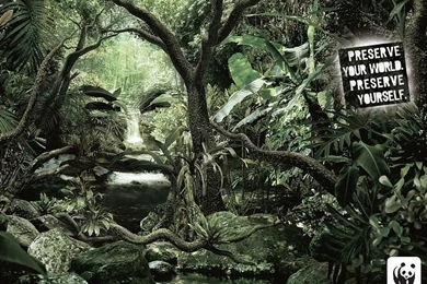 WWF World Wide Fund For Nature (WWF) PSAs Wallpapers 31297 ...