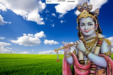 Wallpaper: Copy Wallpapers Xp