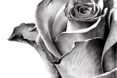 Android Wallpapers Free Blog: Android Wallpapers Free Download