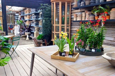 Betty Brewer   Pictures Celebrities