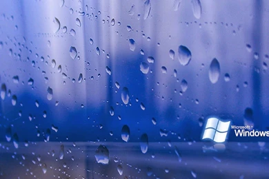 Wallpapers: Windows XP Home Wallpapers