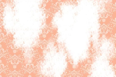 How To Remove Wallpapers Paste: 10 Steps (with Pictures)