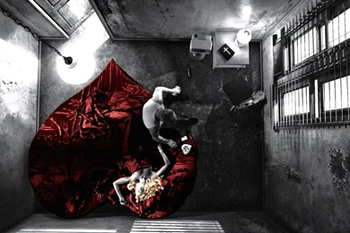 Beautiful Love Hd Wallpapers