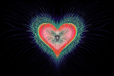 New Love Wallpapers   89422