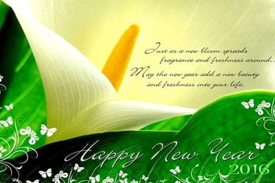 2016 New Year Wallpapers Free Download
