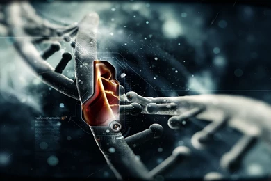 COOL WALLPAPER HD 1080P WSP003