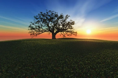 Galaxy Tab Wallpapers Thread