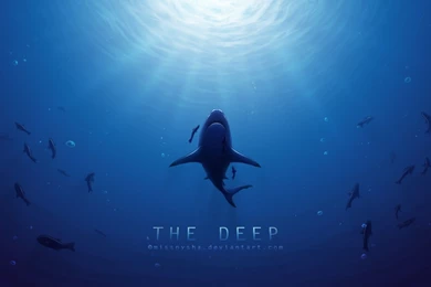 Deep Sea Sharp Wallpapers