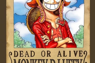 One Piece New World Bounties