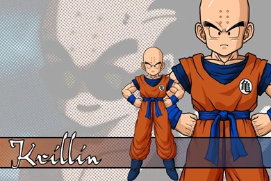 Download Krillin Dragonball Free Anime Wallpapers 1280x1024