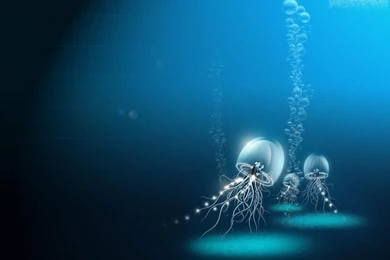 Download Wallpapers Deep Sea Aliens (1024 X 768). Desktop ...