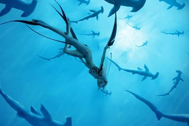 Beautiful Wallpapers Of Colour Hd (23)