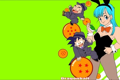 Goku Dragon Ball Z Bunny Suit Bulma Krillin Dragonball Wallpapers ...