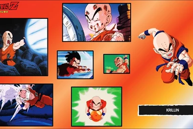 Krillin 38   WallpaperIM