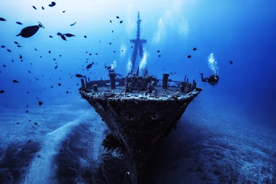 Boat Deep Depth Discover Fish Old Sea Ship Sunken Wallpapers ...